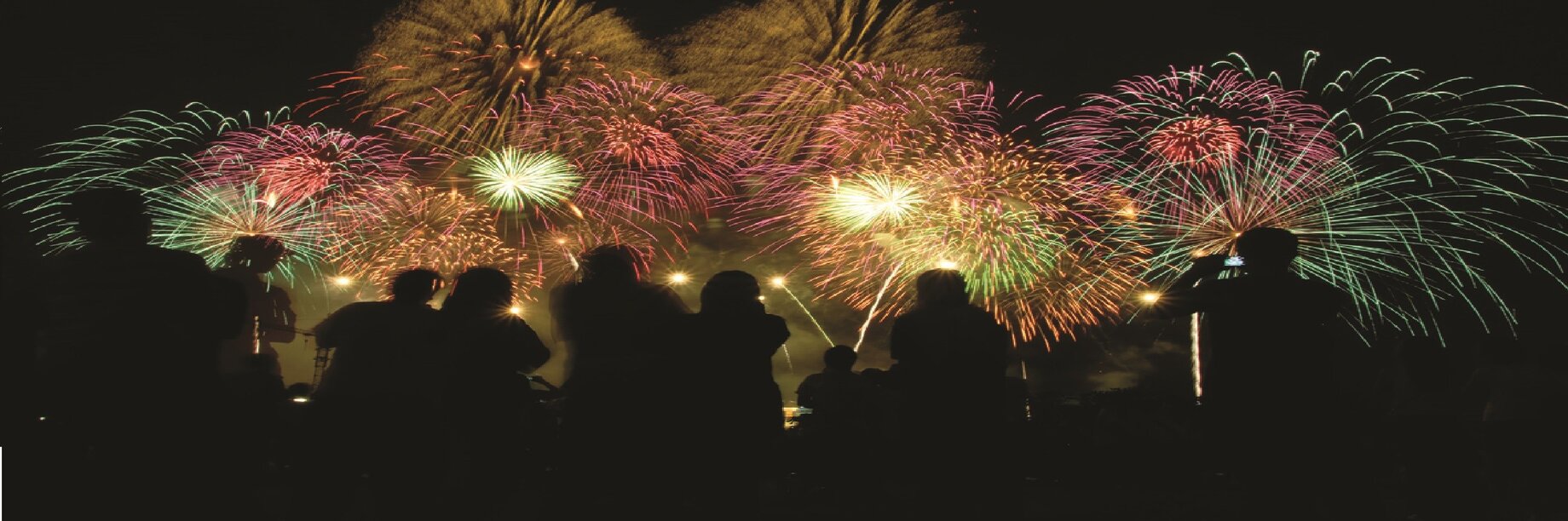 a group of people watching fireworks