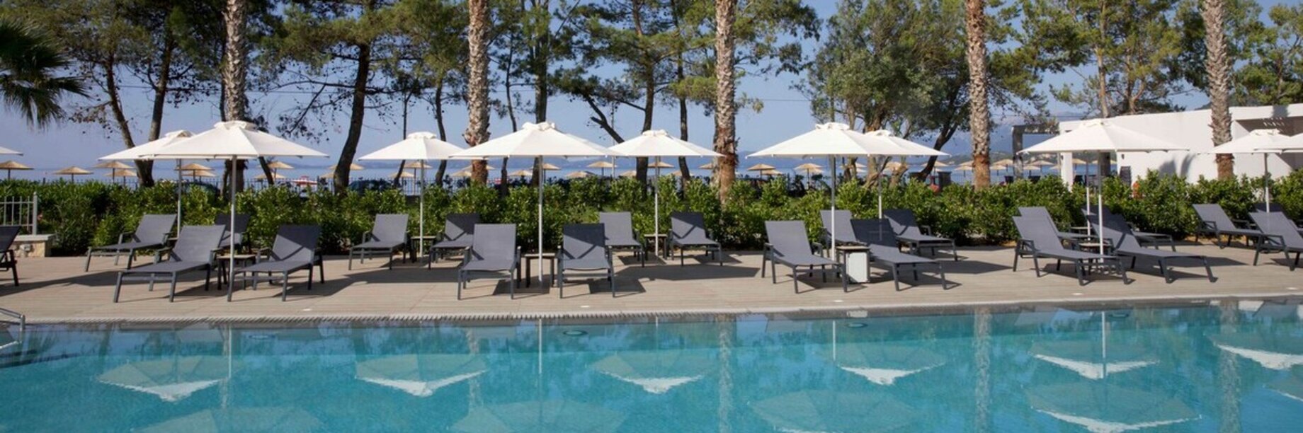 Pool umbrellas reflecting in the pool