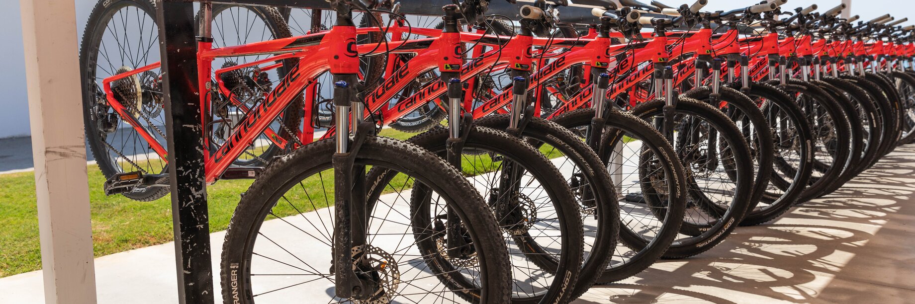 a row of bicycles parked on a sidewalk